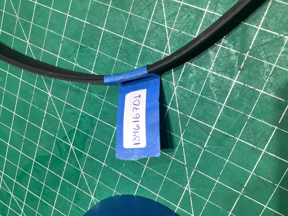Electrolux 134616701 Washer Drive Belt