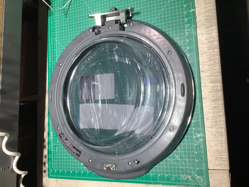 Frigidaire Electrolux 5304529631 Washer Door Assembly AZ146742 | SL165