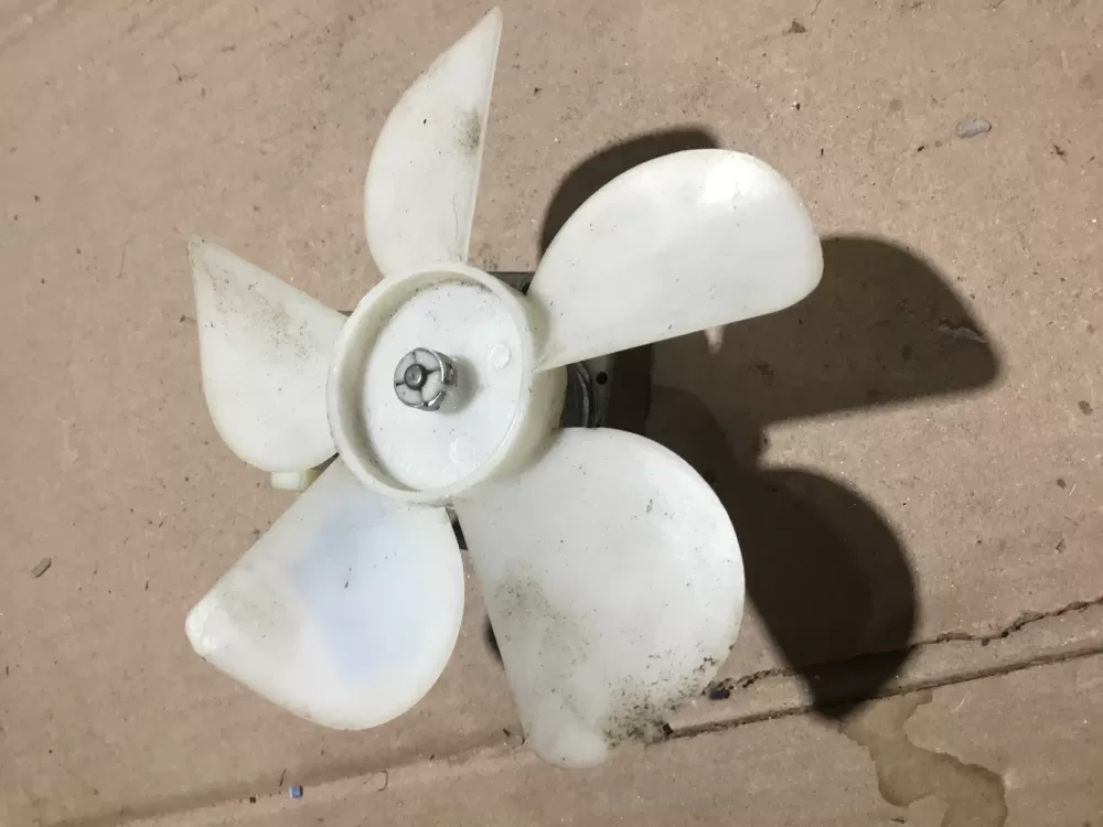 MDL67B2 Motor