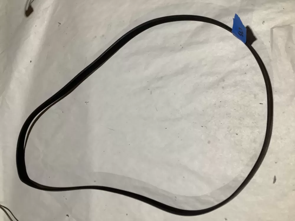 Electrolux 134616701 Washer Drive Belt AZ113522 | Sl3