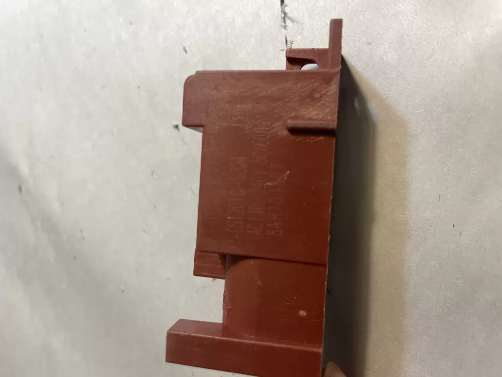 Ac Pulse Ignitor DS12010-5824 AZ194672 | Wm560