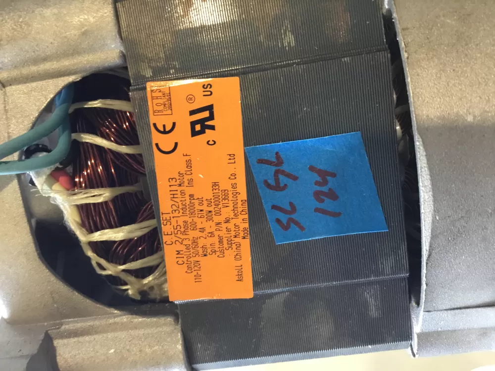 0024000133H Askoll Motor
