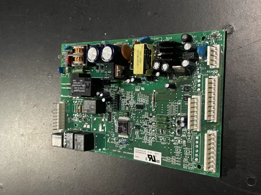 GE 200D4854G018 EBX1069P005 Fridge Main