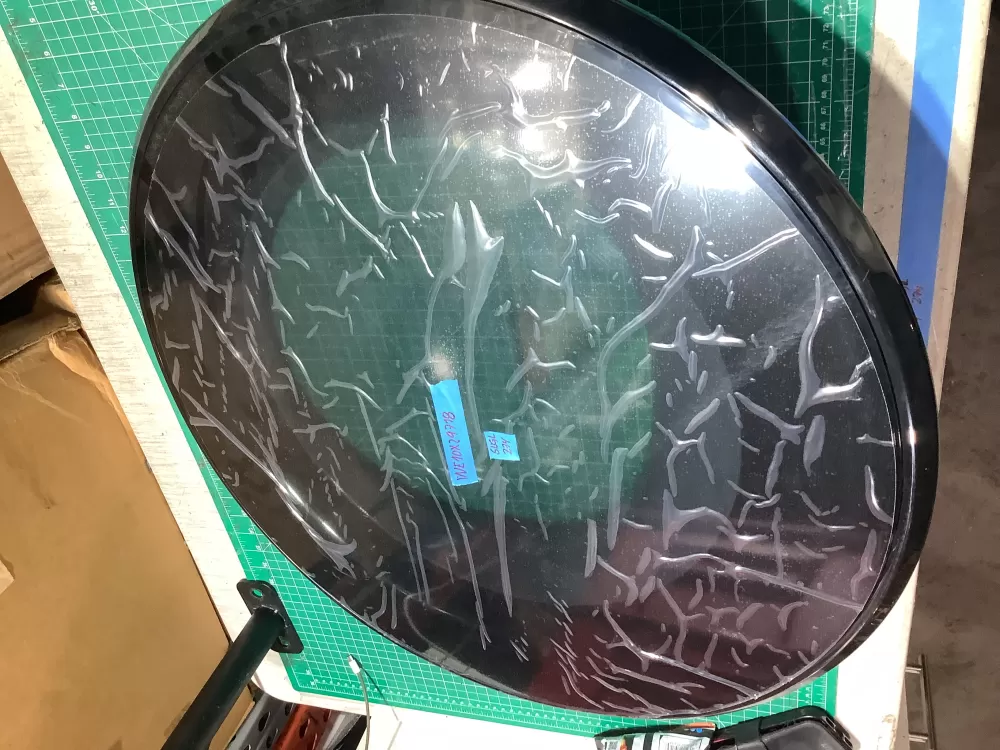 GE WE10X29718 Dryer Door