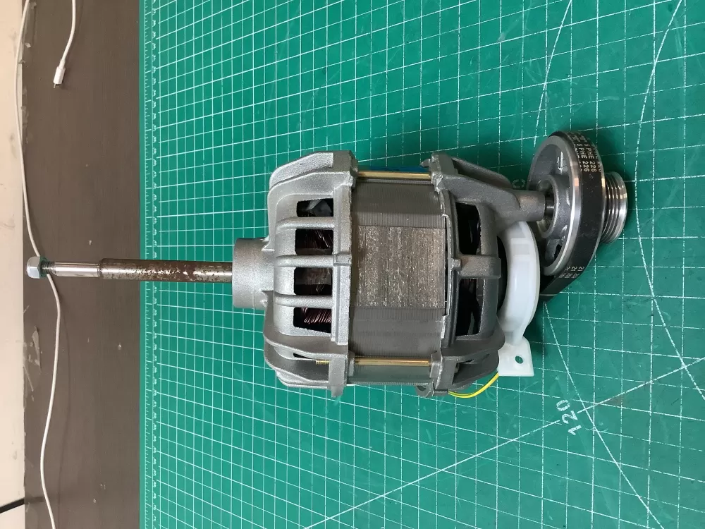 Blomberg 2953880100 Dryer Motor